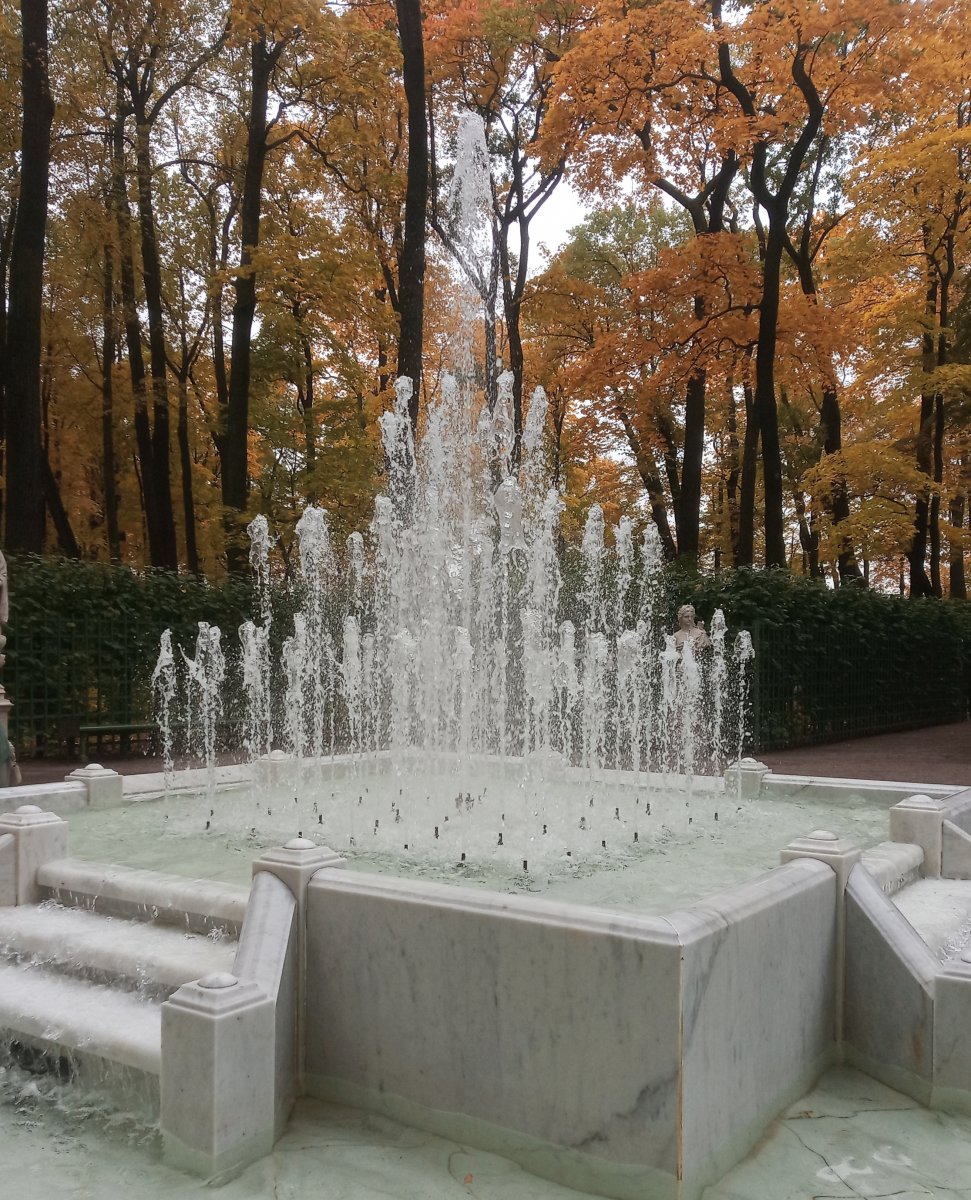 IMG_20210927_165424.jpg
