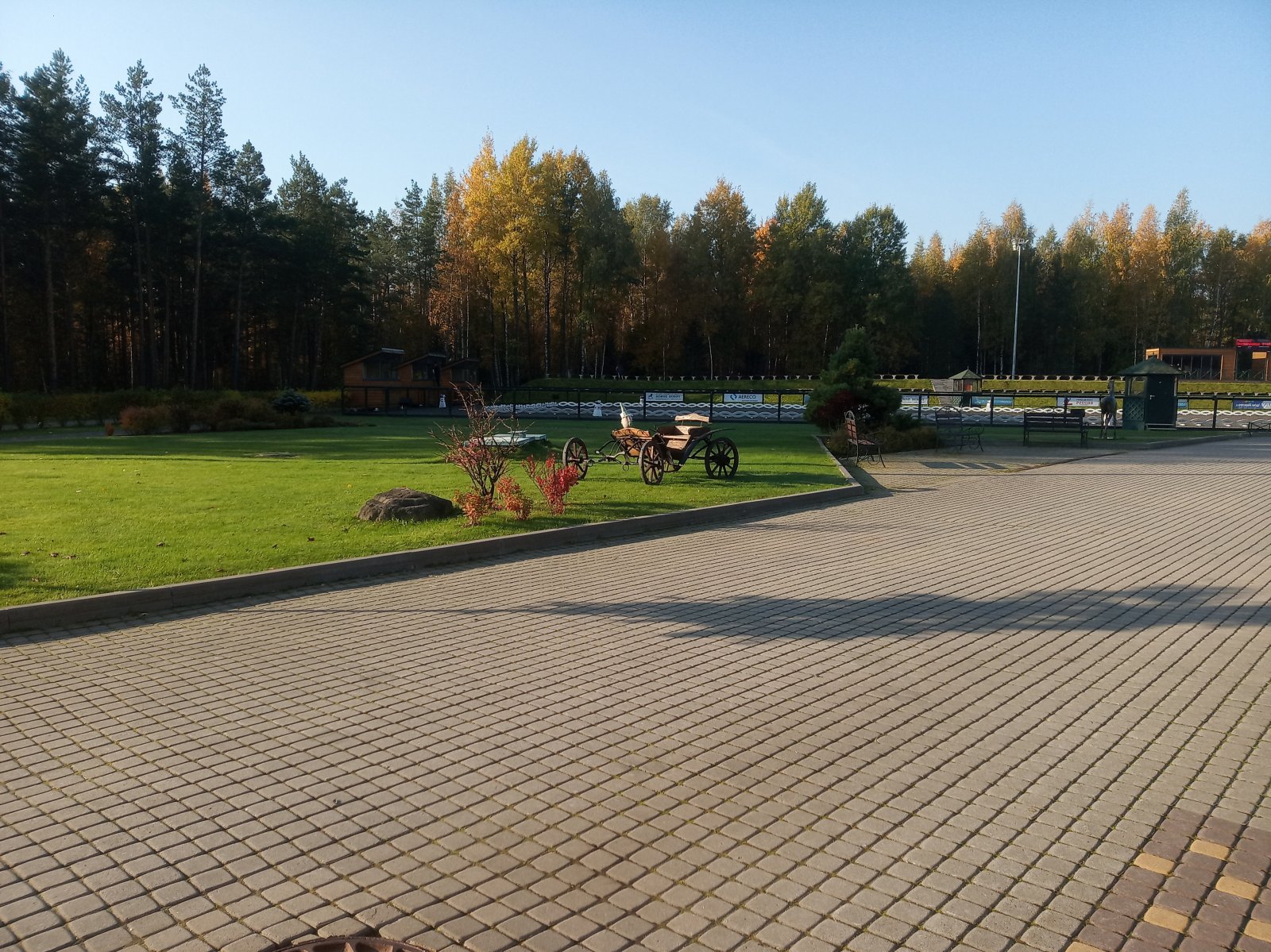 IMG_20211002_094136.jpg