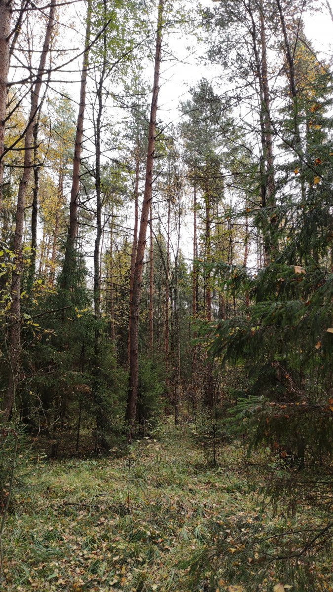 IMG_20211010_113426.jpg