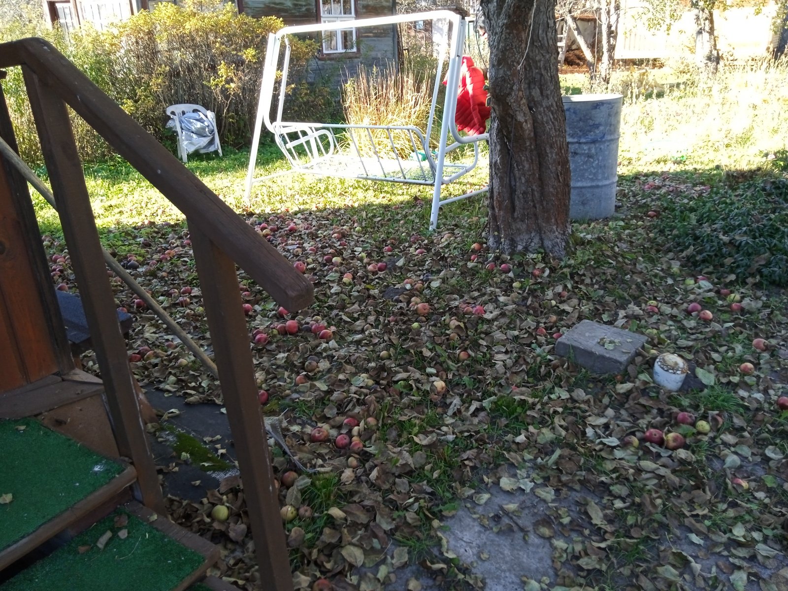 IMG_20211010_144002_1.jpg
