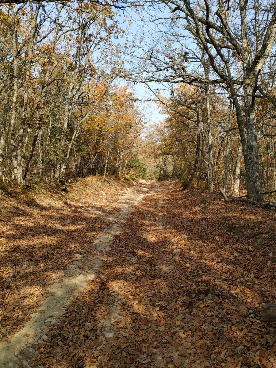 IMG_20211023_151954.jpg