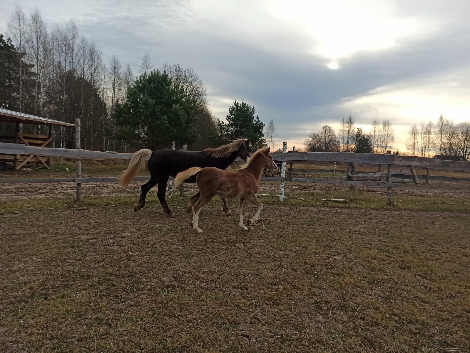IMG_20211111_103910.jpg