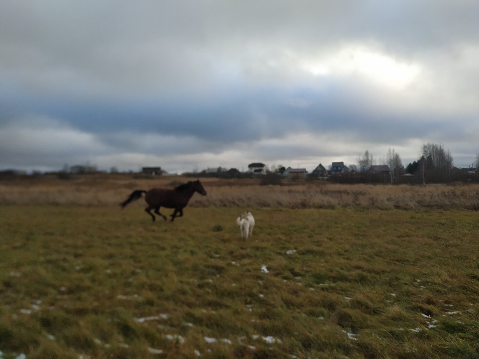 IMG_20211119_110019.jpg