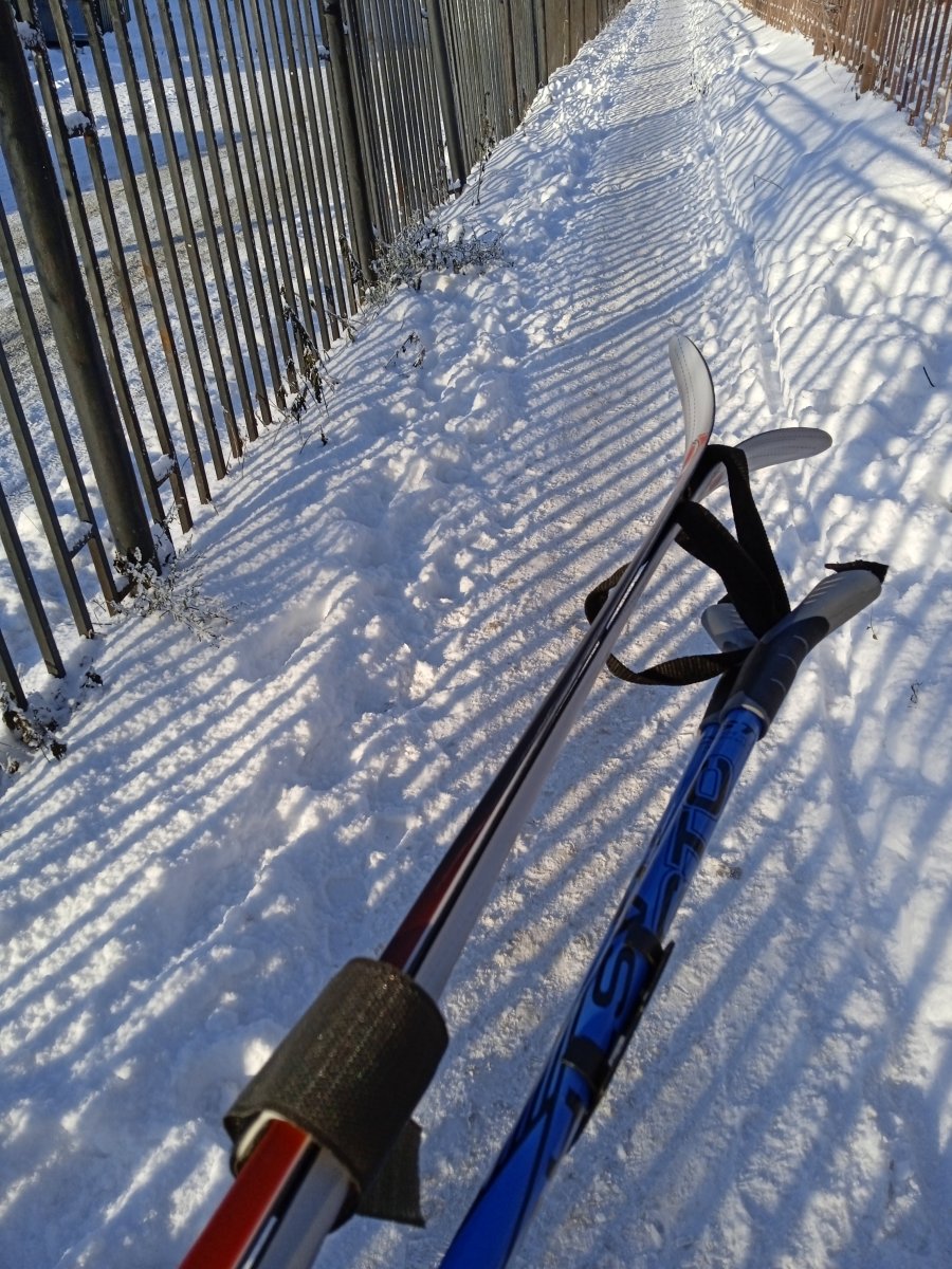 IMG_20211210_130151_1.jpg