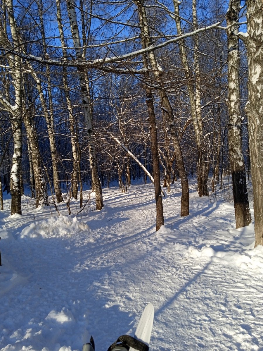 IMG_20211210_130333_1.jpg
