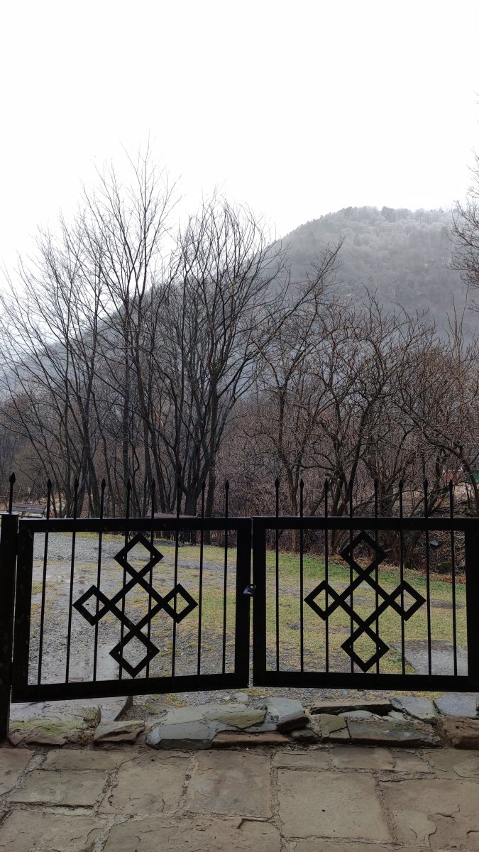 IMG_20211220_114500.jpg