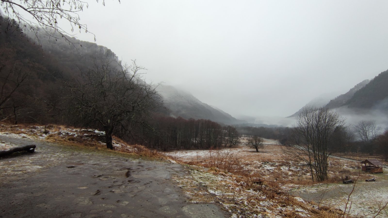 IMG_20211220_114909.jpg