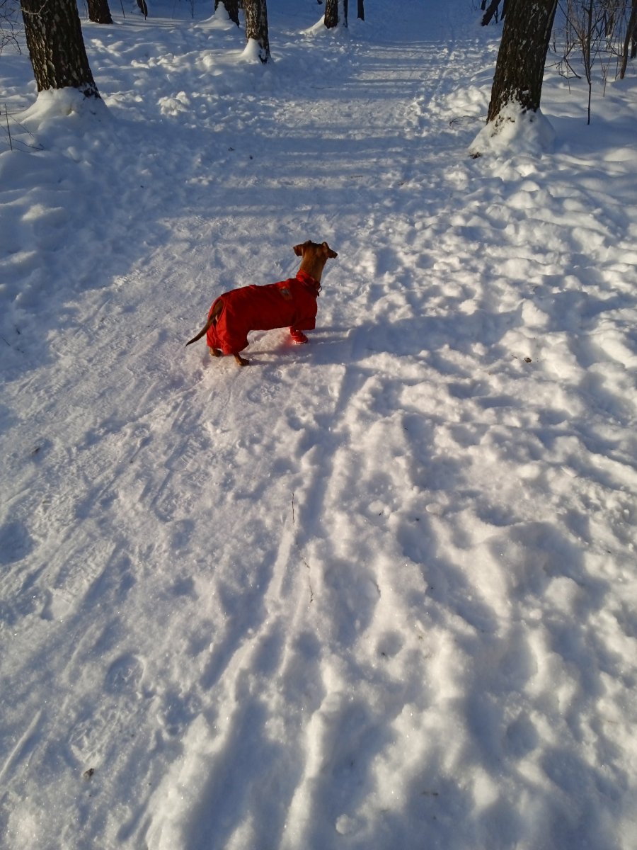 IMG_20211229_123236.jpg