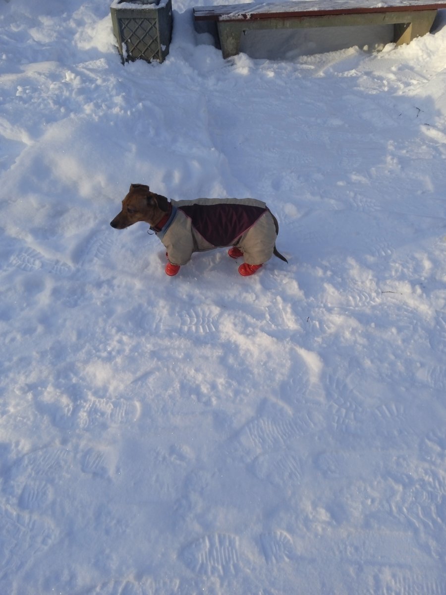 IMG_20220112_114056.jpg