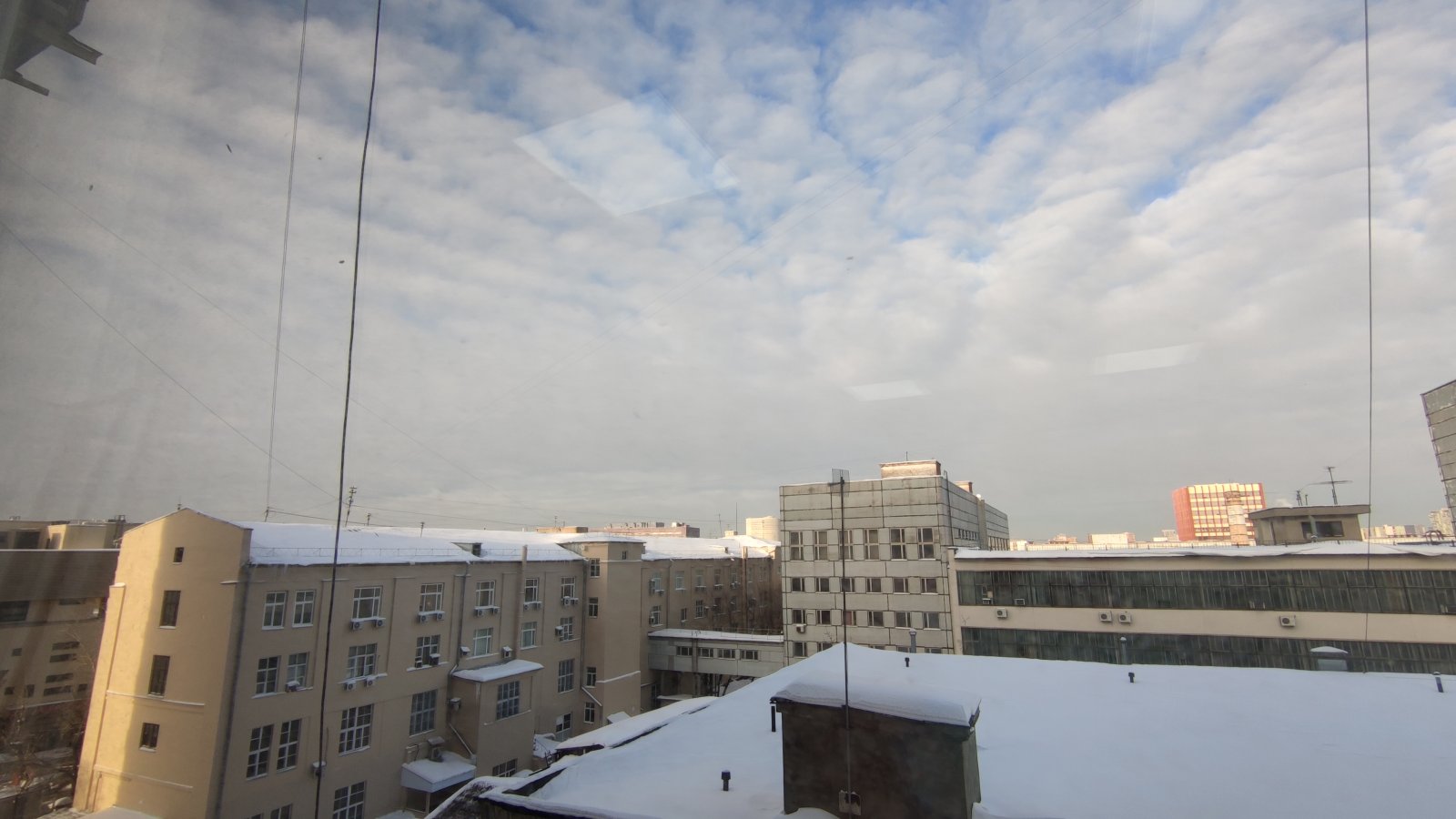 IMG_20220119_131123.jpg
