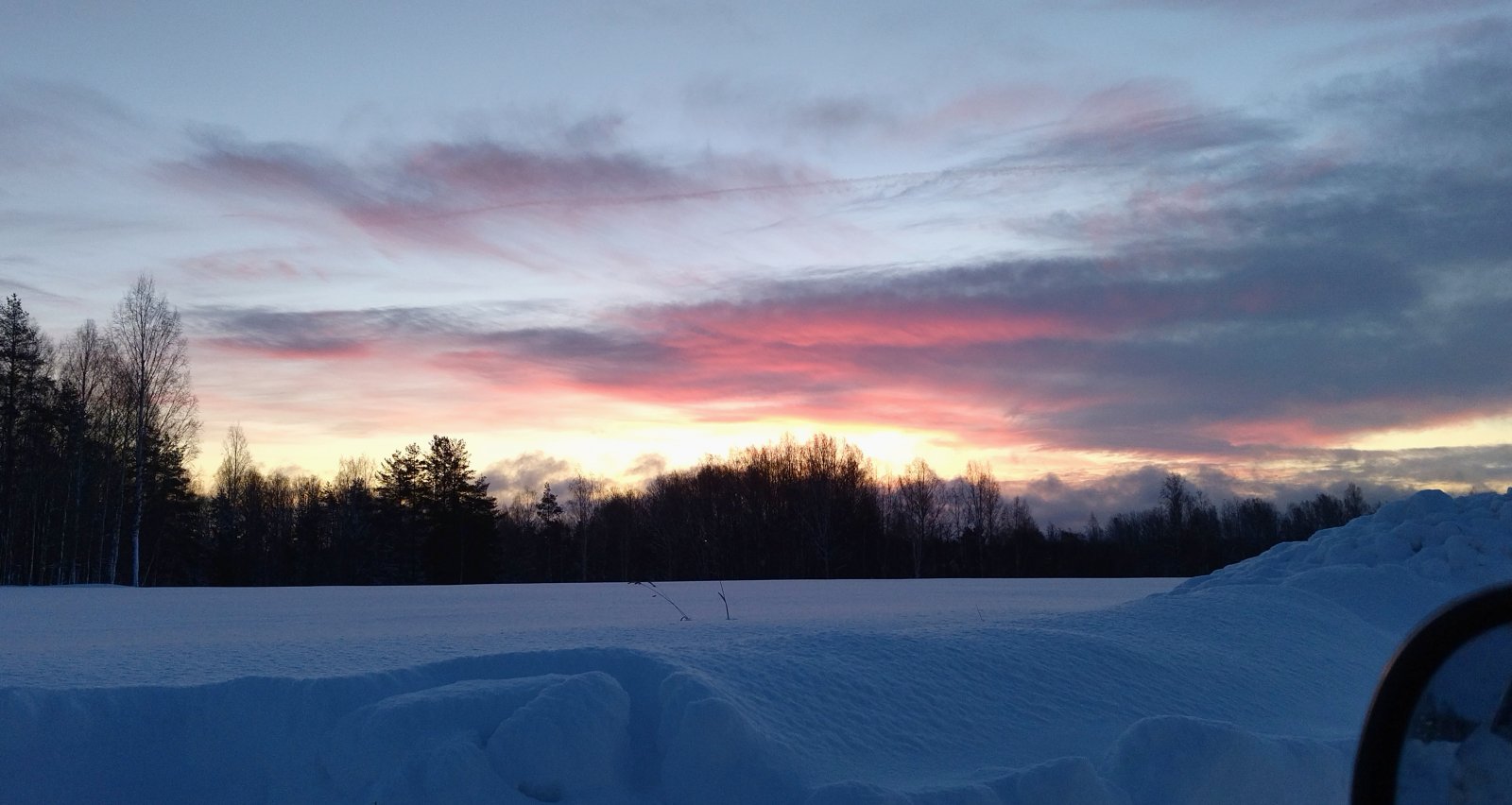 IMG_20220211_121334.jpg