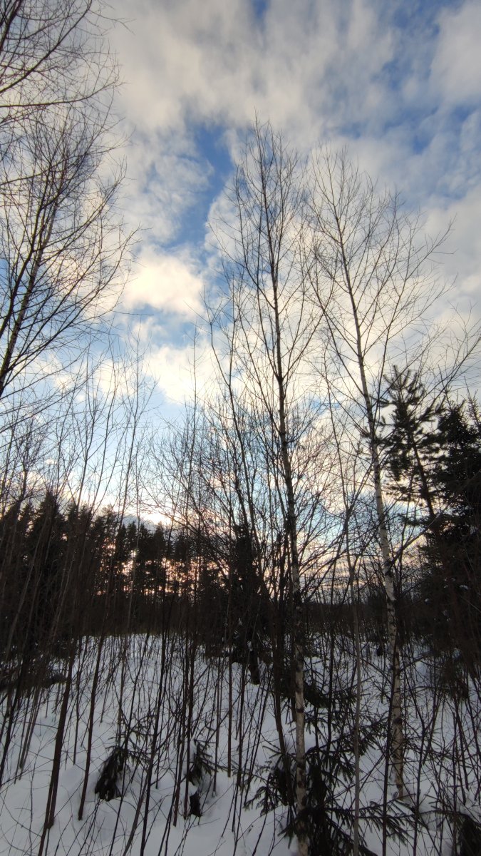 IMG_20220213_160952.jpg