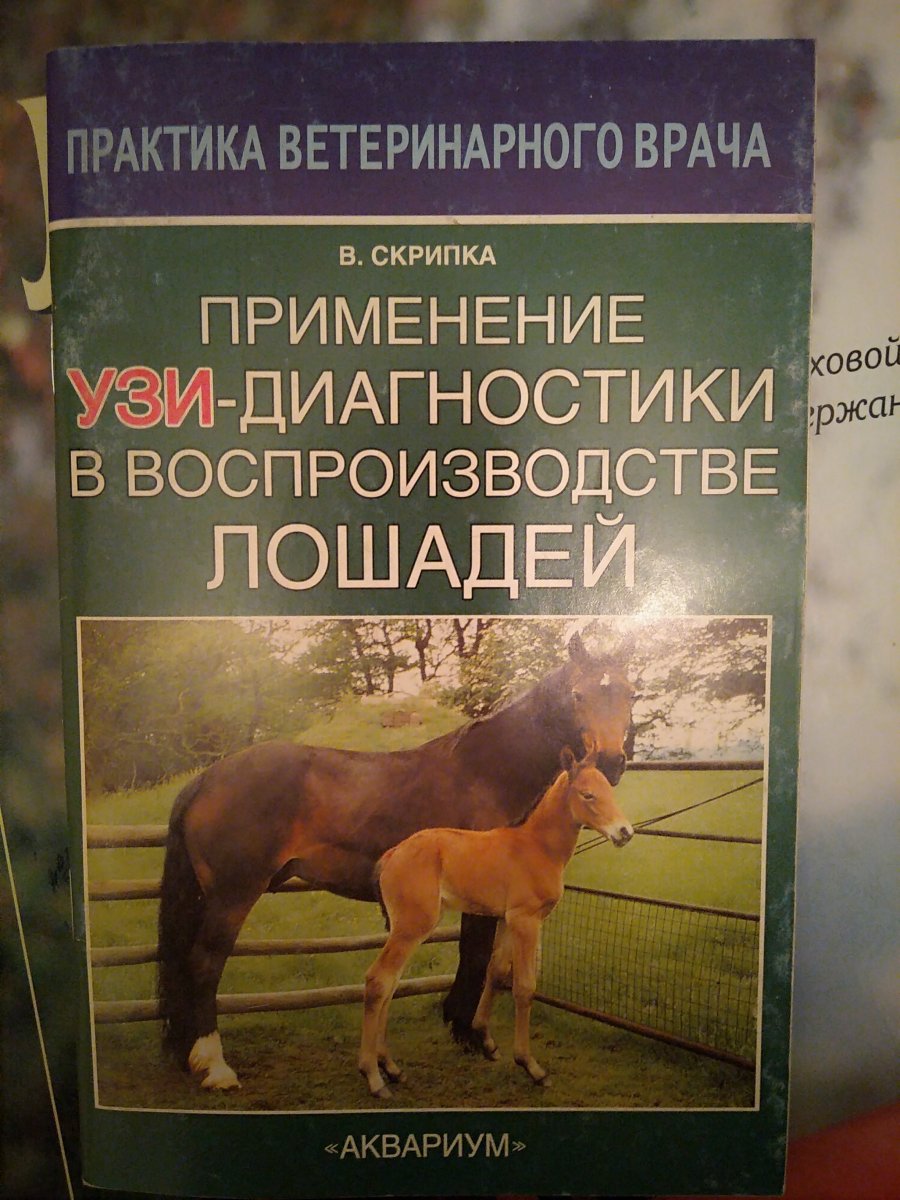 IMG_20220423_221939.jpg