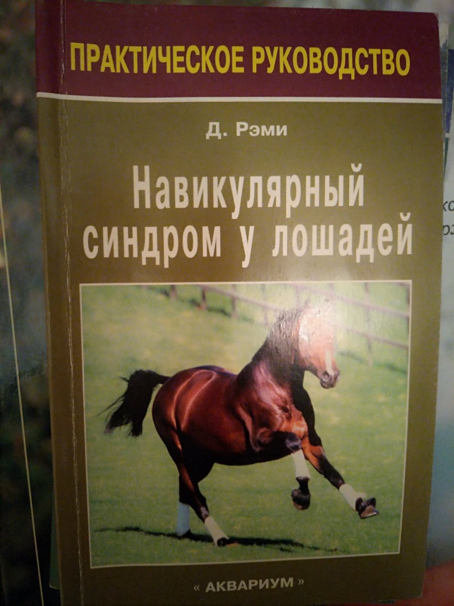 IMG_20220423_222002.jpg