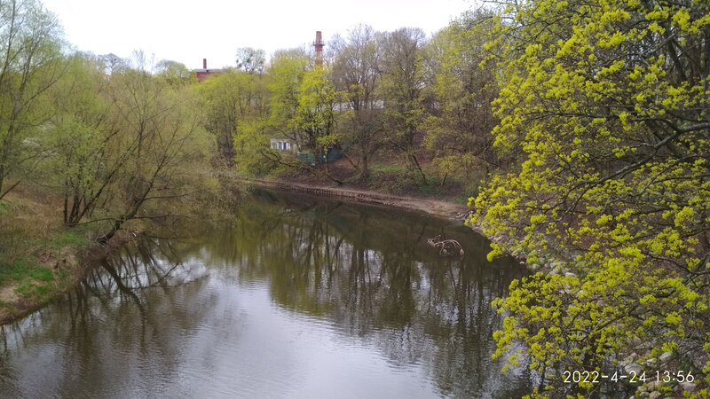 IMG_20220424_135646.jpg