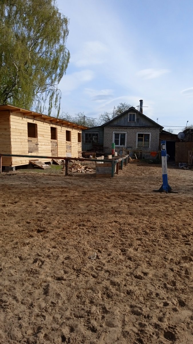 IMG_20220511_162046.jpg