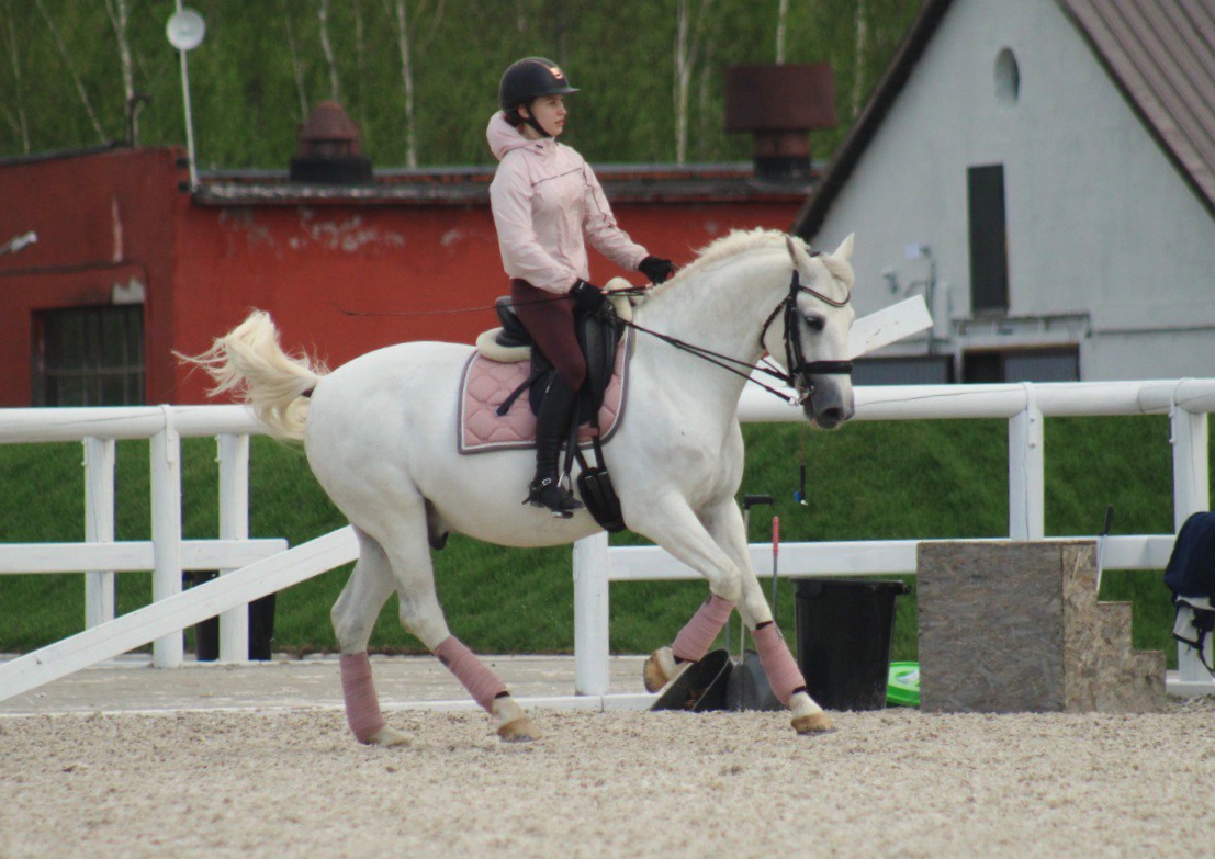 IMG_20220517_103739.jpg
