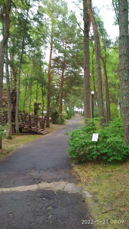 IMG_20220521_090958.jpg