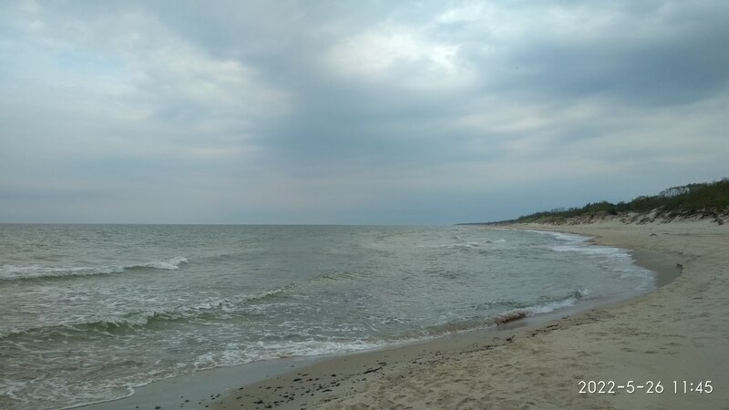 IMG_20220526_114536.jpg