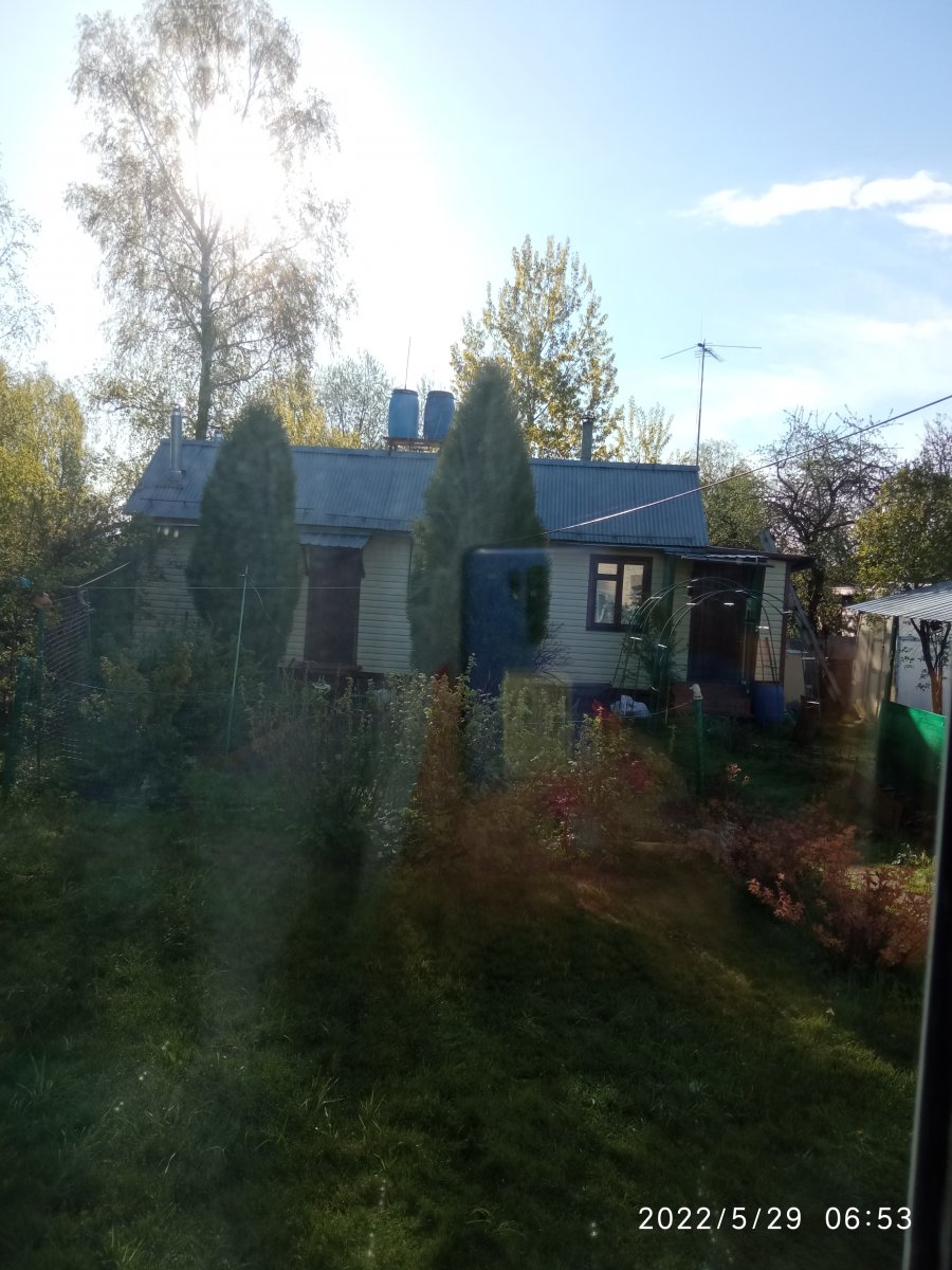 IMG_20220529_065340.jpg