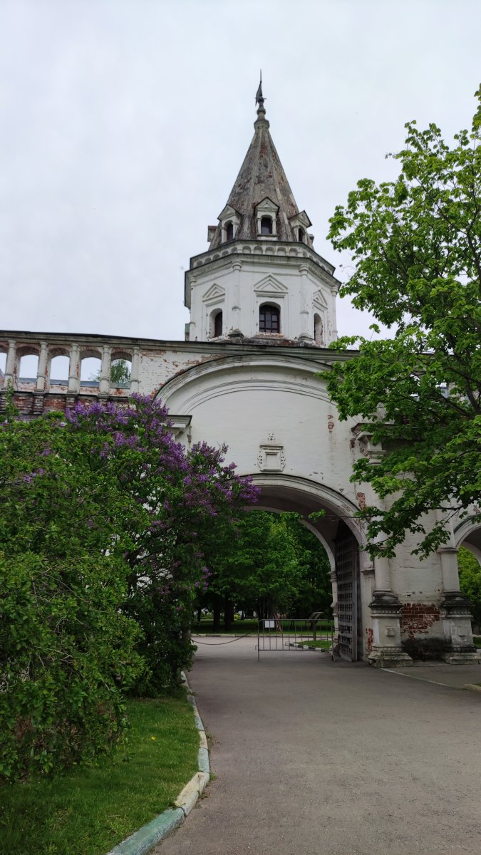 IMG_20220530_182406.jpg