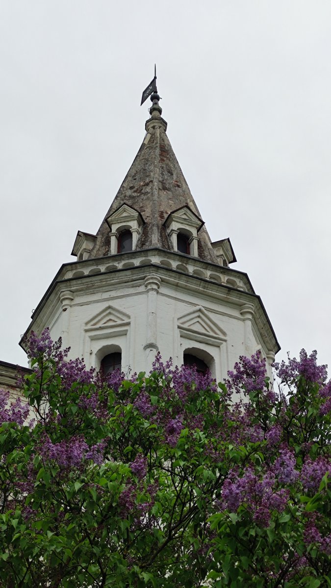 IMG_20220530_182522.jpg