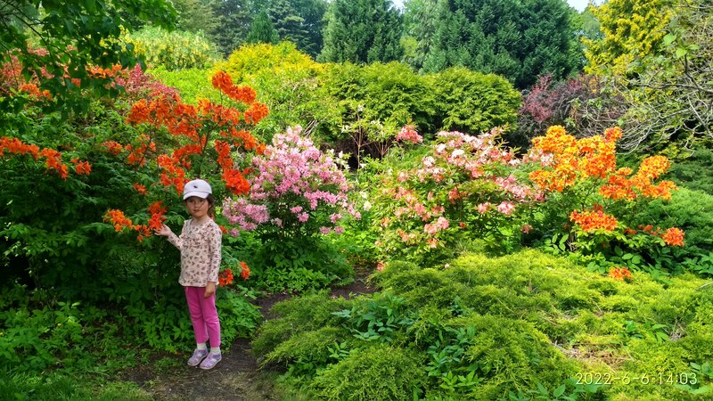 IMG_20220606_140334_HDR.jpg