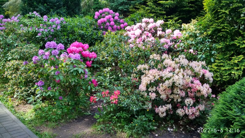 IMG_20220606_141636_HDR.jpg