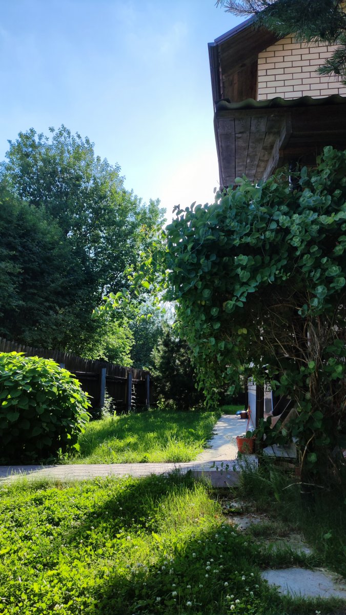 IMG_20220626_181319.jpg
