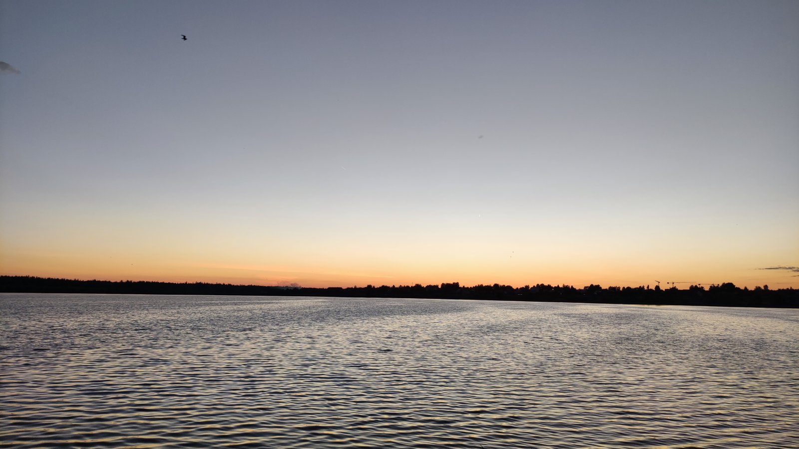 IMG_20220630_214624.jpg