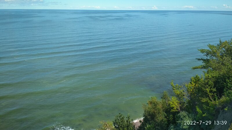 IMG_20220729_133909.jpg