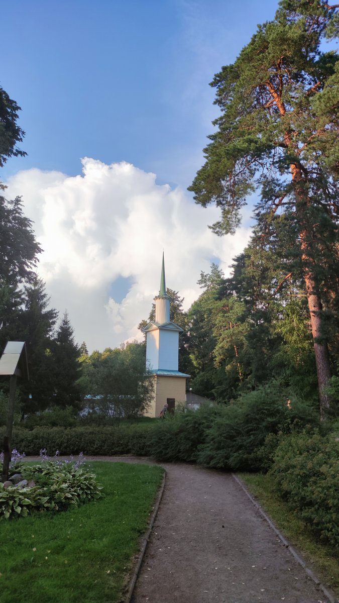 IMG_20220806_185914.jpg