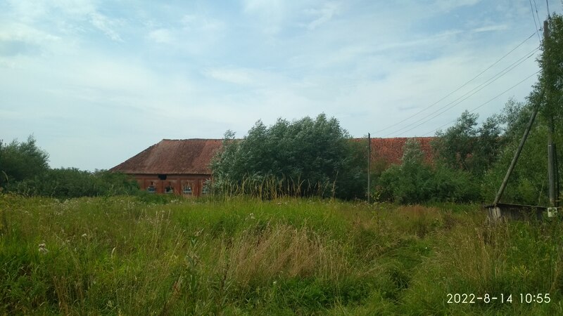 IMG_20220814_105533.jpg