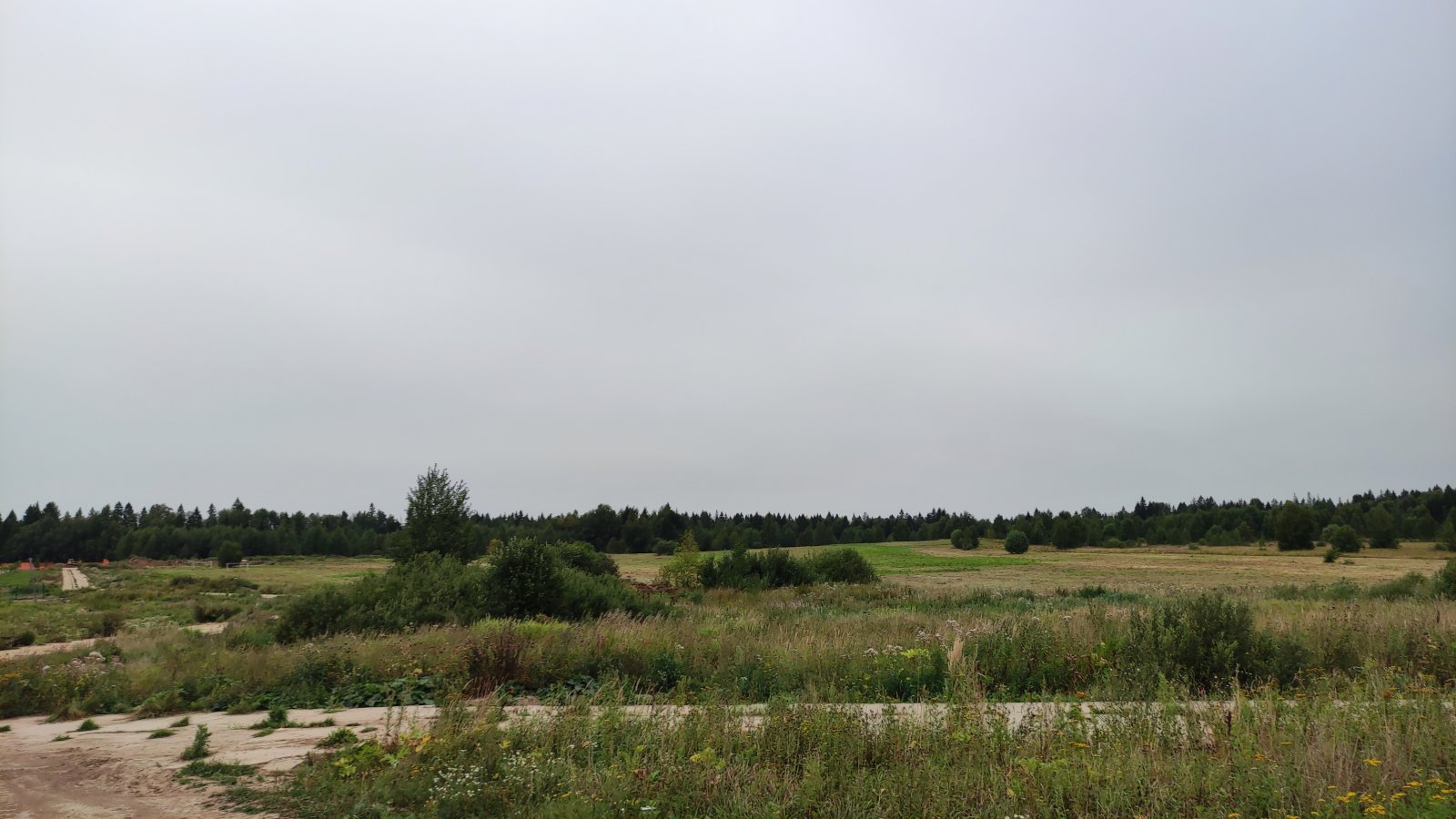 IMG_20220820_173112.jpg