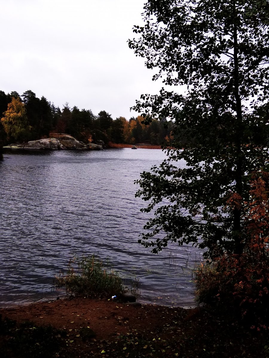 IMG_20221006_113844.jpg