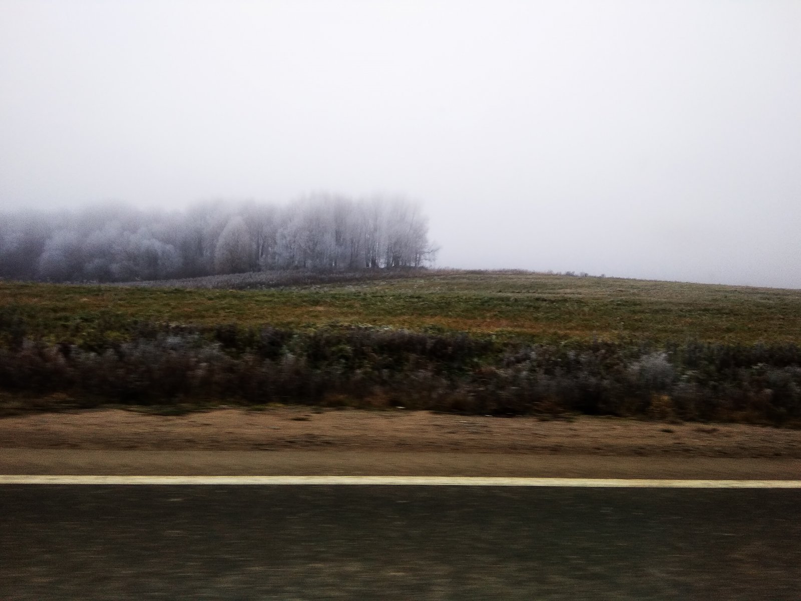 IMG_20221105_114713.jpg