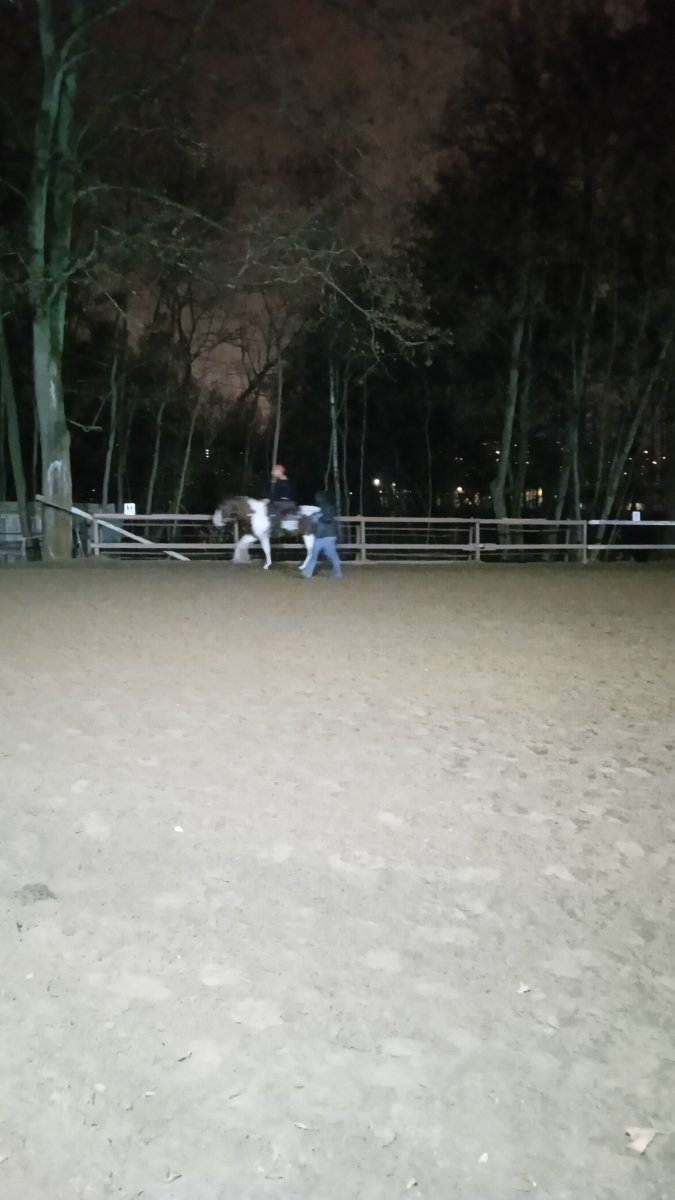 IMG_20221110_195132.jpg