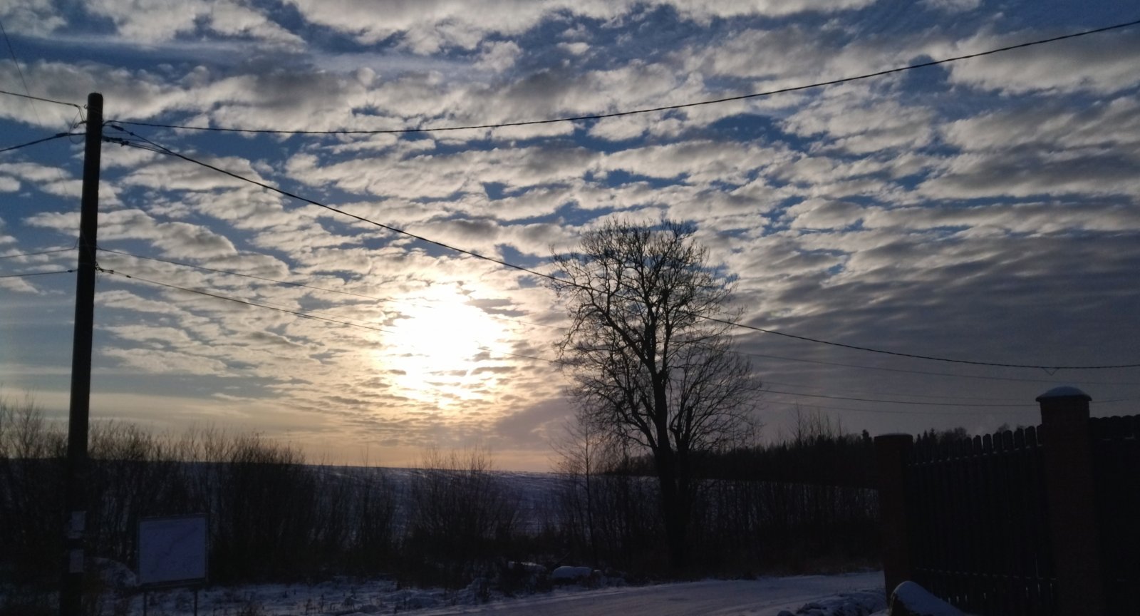 IMG_20221126_124456.jpg