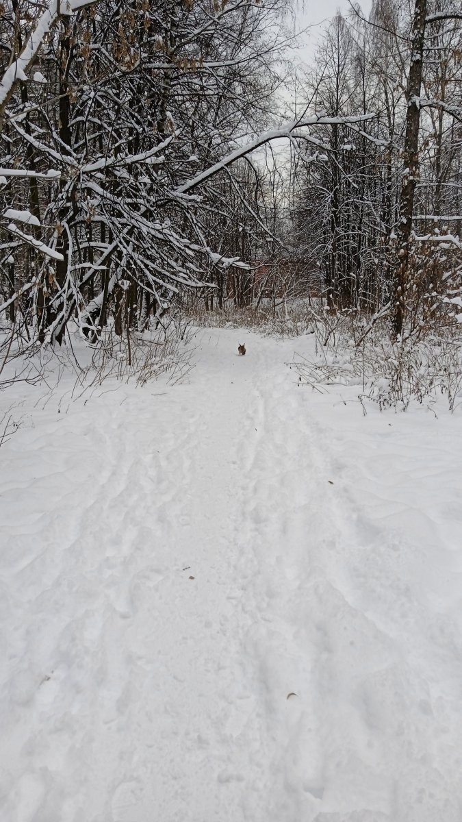 IMG_20221216_135304_1.jpg