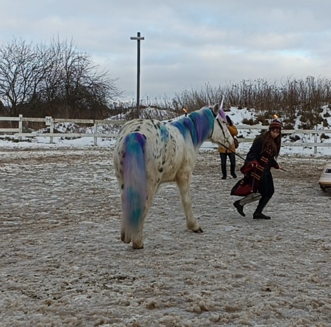 IMG_20221227_221247.jpg