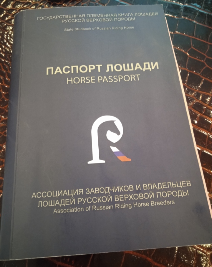 IMG_20230122_195559.jpg