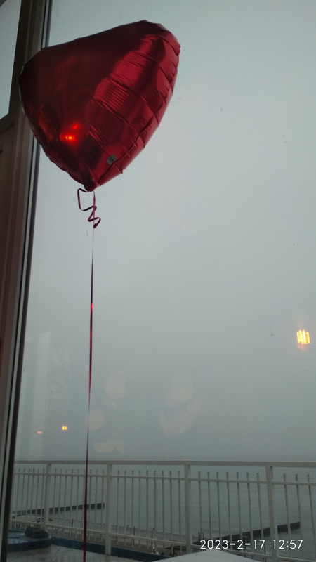 IMG_20230217_125745.jpg