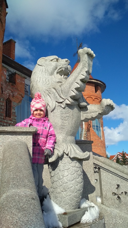 IMG_20230312_115615.jpg