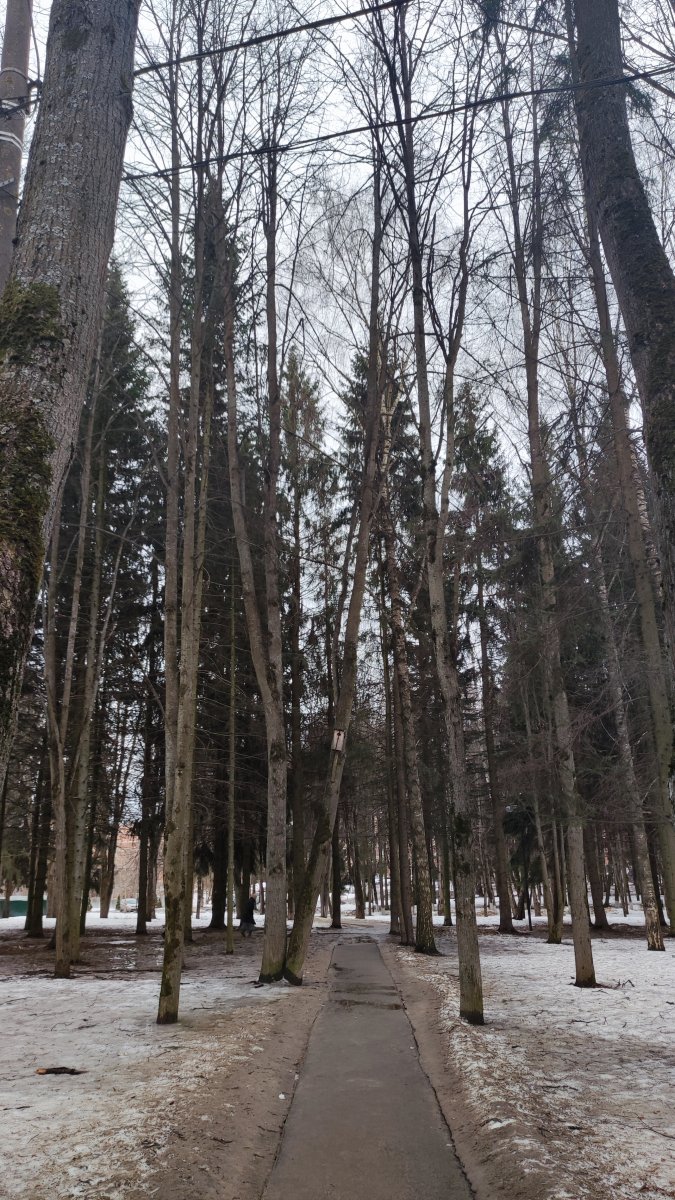 IMG_20230323_181044.jpg
