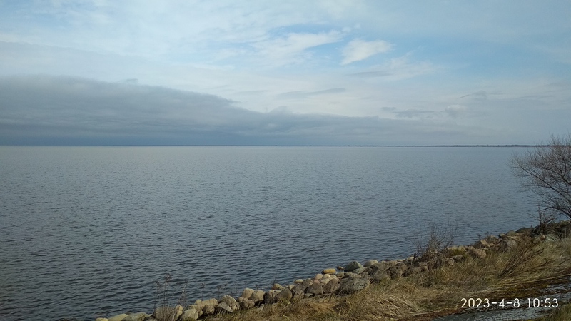 IMG_20230408_105315.jpg