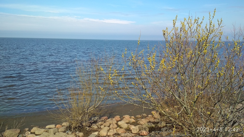IMG_20230408_124228.jpg