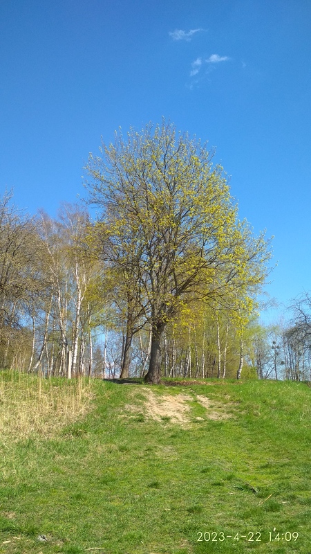 IMG_20230422_140918.jpg