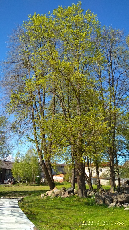 IMG_20230430_095850.jpg