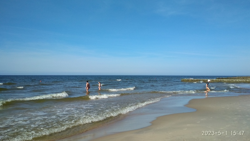 IMG_20230501_154731.jpg