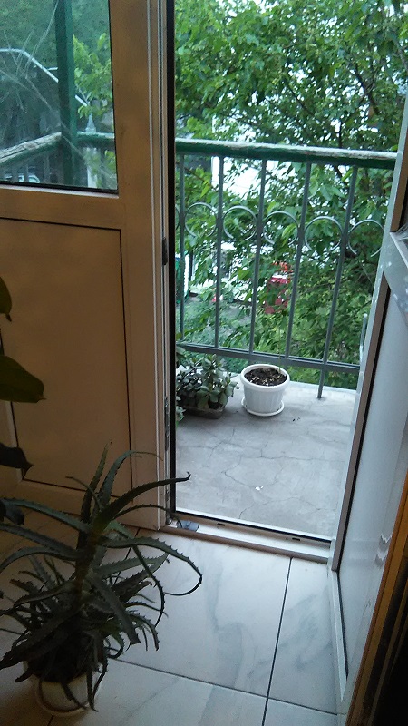 IMG_20230613_201008.jpg